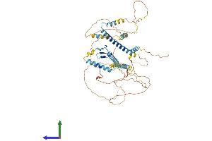 Protein Structure (PS) image for GATA Zinc Finger Domain Containing 2B (GATAD2B) (AA 1-594) protein (His tag) (ABIN7559932)
