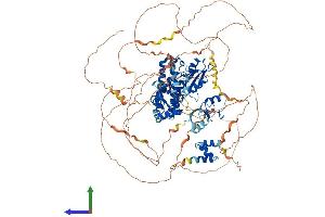 Protein Structure (PS) image for Cbl Proto-Oncogene B, E3 Ubiquitin Protein Ligase (CBLB) (AA 1-982) protein (His tag) (ABIN7563677)