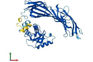 Protein Structure (PS) image for Adaptor-Related Protein Complex 3, mu 1 Subunit (AP3M1) (AA 1-418) protein (His tag) (ABIN7552167)