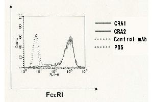 Flow Cytometry (FACS) image for anti-Fc Fragment of IgE Receptor Ia (FCER1A) (AA 85-172) antibody (ABIN2451979) (Fc epsilon RI/FCER1A 抗体  (AA 85-172))