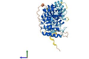AlphaFold protein structure predicition of Human Recombinant PRAMEF1 Protein, UniprotID O95521 (PRAMEF1 Protein (AA 1-474) (His tag))
