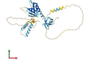 Protein Structure (PS) image for Src Kinase Associated phosphoprotein 1 (SKAP1) (AA 1-355) protein (His tag) (ABIN7557290)