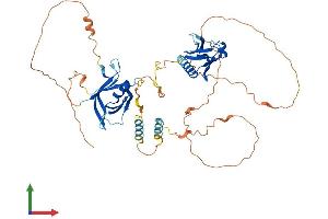 AlphaFold protein structure predicition of Human Recombinant DOK3 Protein, UniprotID Q7L591