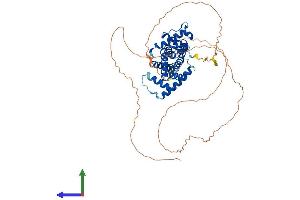 Protein Structure (PS) image for Cyclin L1 (CCNL1) (AA 1-532) protein (His tag) (ABIN7557412)