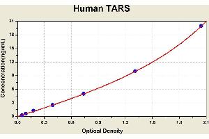 Diagramm of the ELISA kit to detect Human TARSwith the optical density on the x-axis and the concentration on the y-axis. (TARS ELISA 试剂盒)