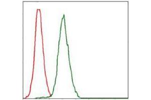 Flow cytometric analysis of Jurkat cells using RPA1 mouse mAb (green) and negative control (red). (RPA1 抗体)