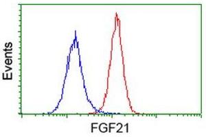 Flow cytometric Analysis of Hela cells, using anti-FGF21 antibody (ABIN2454488), (Red), compared to a nonspecific negative control antibody, (Blue). (FGF21 抗体  (AA 29-209))