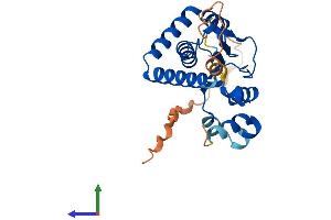 Protein Structure (PS) image for SRR1 Domain Containing (SRRD) (AA 1-249) protein (His tag) (ABIN7559511)