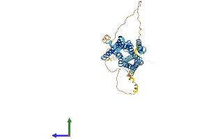 Protein Structure (PS) image for Histamine Receptor H3 (HRH3) (AA 1-445) protein (His tag) (ABIN7556518)