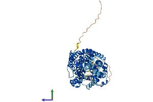 Protein Structure (PS) image for Solute Carrier Family 6 (Neurotransmitter Transporter, GABA), Member 13 (SLC6A13) (AA 1-602) protein (His tag) (ABIN7545954)