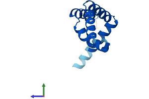 AlphaFold protein structure predicition of Mouse Recombinant Eny2 Protein, UniprotID Q9JIX0