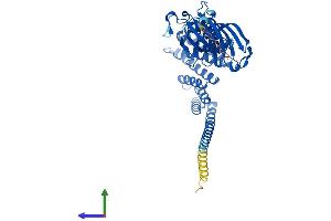 AlphaFold protein structure predicition of Mouse Recombinant Fkbp5 Protein, UniprotID Q64378