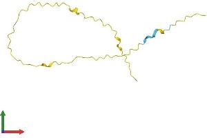 Protein Structure (PS) image for G Antigen 5 (GAGE5) (AA 1-117) protein (His tag) (ABIN7547862)