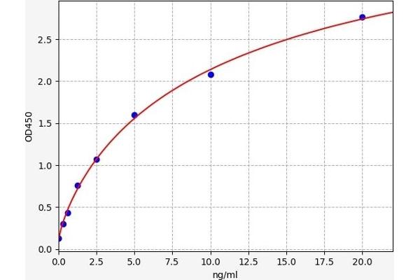 PTX3 ELISA 试剂盒