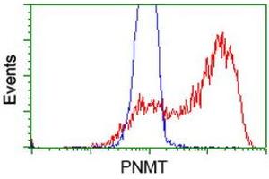 Flow Cytometry (FACS) image for anti-Phenylethanolamine N-Methyltransferase (PNMT) antibody (ABIN1500312) (PNMT 抗体)