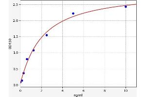 Typical standard curve (KYNU ELISA 试剂盒)