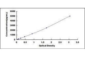 ELISA image for Cold Inducible RNA Binding Protein (CIRBP) ELISA Kit (ABIN422495)