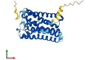 Protein Structure (PS) image for Retinal G Protein Coupled Receptor (RGR) (AA 1-291) protein (His tag) (ABIN7556416)