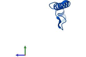AlphaFold protein structure predicition of Mouse Recombinant Ndufb1 Protein, UniprotID P0DN34
