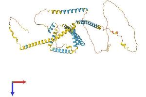 FAM134B Protein (AA 1-497) (His tag)