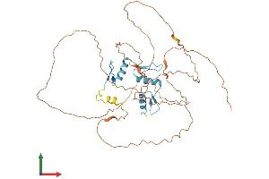 Protein Structure (PS) image for Kruppel-Like Factor 12 (KLF12) (AA 1-402) protein (His tag) (ABIN7548861)