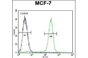 OTOP3 Antibody (C-term) (ABIN655855 and ABIN2845262) flow cytometric analysis of MCF-7 cells (right histogram) compared to a negative control (left histogram). (OTOP3 抗体  (C-Term))