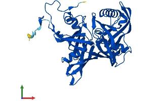 Protein Structure (PS) image for L-3-Hydroxyproline Dehydratase (Trans-) (L3HYPDH) (AA 1-354) protein (His tag) (ABIN7560712)