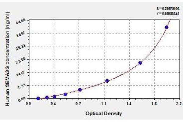 SEMA3G ELISA 试剂盒