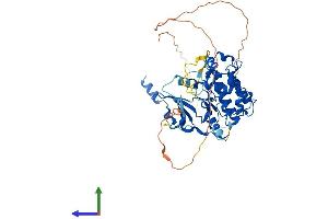 Protein Structure (PS) image for Cyclin-Dependent Kinase 19 (CDK19) (AA 1-501) protein (His tag) (ABIN7558959)