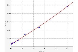 Typical standard curve (DKK3 ELISA 试剂盒)