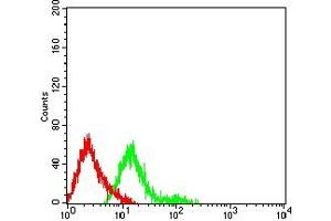 Flow cytometric analysis of HL-60 cells using CD174 mouse mAb (green) and negative control (red). (FUT3 抗体  (AA 199-361))