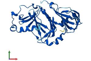Protein Structure (PS) image for 3-hydroxyanthranilate 3,4-Dioxygenase (HAAO) (AA 1-286) protein (His tag) (ABIN7551774)