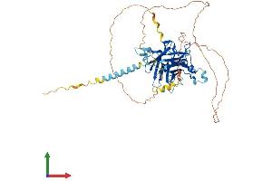 Protein Structure (PS) image for Tubby Homolog (TUB) (AA 1-505) protein (His tag) (ABIN7563367)