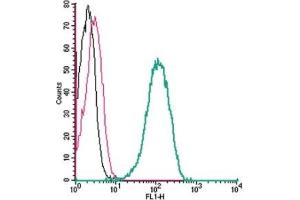 Cell surface detection of Thromboxane A2 Receptor by indirect flow cytometry in live intact human THP-1 monocytic leukemia cell line: (black line) Cells. (TBXA2R 抗体  (Extracellular, N-Term))