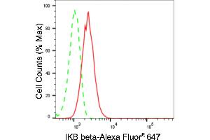 Flow cytometric analysis of IKB beta expression in HepG2 cells using IKB beta antibody (ABIN7799590), 1:2,000).