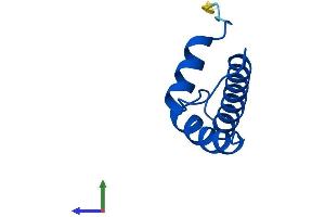 AlphaFold protein structure predicition of Mouse Recombinant Cenpw Protein, UniprotID Q3URR0 (CENPW Protein (AA 1-86) (Fc Tag))