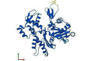 Protein Structure (PS) image for Actin, beta (ACTB) (AA 1-375) protein (His tag) (ABIN7551947)