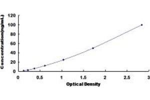 Typical standard curve (HDAC4 ELISA 试剂盒)