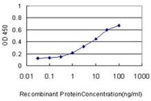 Detection limit for recombinant GST tagged RAB43 is approximately 0. (RAB43 抗体  (AA 113-210))