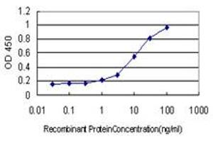 Detection limit for recombinant GST tagged LAMC1 is approximately 0. (Laminin gamma 1 抗体  (AA 1-38))