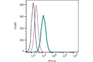 Cell surface detection of CD63 by direct flow cytometry in live intact mouse  microglia cell line: + Rabbit IgG Isotype Control-FITC (ABIN7582044). (CD63 抗体  (Extracellular) (FITC))
