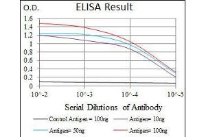 Black line: Control Antigen (100 ng), Purple line: Antigen(10 ng), Blue line: Antigen (50 ng), Red line: Antigen (100 ng), (JNK 抗体)