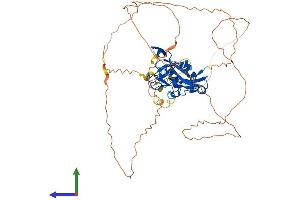 Protein Structure (PS) image for T-Box 22 (TBX22) (AA 1-520) protein (His tag) (ABIN7544387)