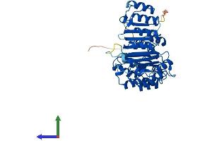 AlphaFold protein structure predicition of Human Recombinant FBXL3 Protein, UniprotID Q9UKT7