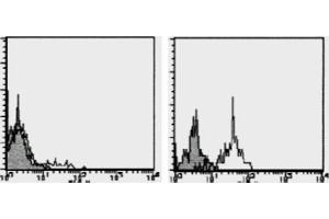 Flow Cytometry (FACS) image for anti-Chemokine (C-C Motif) Receptor 1 (CCR1) antibody (PE) (ABIN1105988) (CCR1 抗体  (PE))