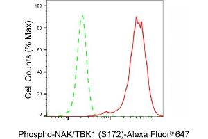 Flow cytometric analysis of Phospho-NAK/TBK1 (S172) expression in HepG2 cells using Phospho-NAK/TBK1 (S172) antibody (ABIN7800504), 1:2,000). (Recombinant TBK1 抗体  (pSer172))