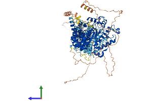 Protein Structure (PS) image for Meningioma Expressed Antigen 5 (Hyaluronidase) (MGEA5) (AA 1-916) protein (His tag) (ABIN7565039)