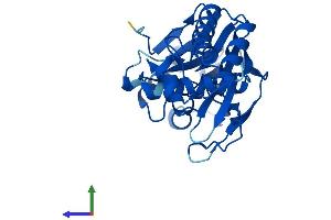 AlphaFold protein structure predicition of Mouse Recombinant Lactb2 Protein, UniprotID Q99KR3