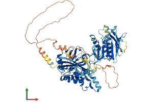 Protein Structure (PS) image for Biotin-Protein Ligase (HLCS) (AA 1-726) protein (His tag) (ABIN7552770)