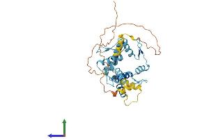 Protein Structure (PS) image for Zinc Finger and SCAN Domain Containing 16 (ZSCAN16) (AA 1-348) protein (His tag) (ABIN7545773)